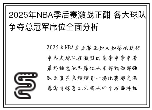 2025年NBA季后赛激战正酣 各大球队争夺总冠军席位全面分析